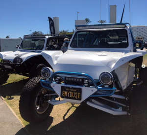 White Meyers Manx